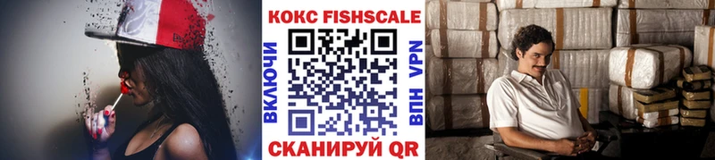 площадка клад наркотики omg маркетплейс Казань Cocaine Fish Scale