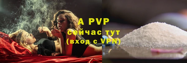 стаф Белокуриха