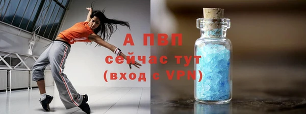 стаф Белокуриха