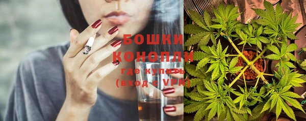 стаф Белокуриха