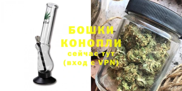 стаф Белокуриха