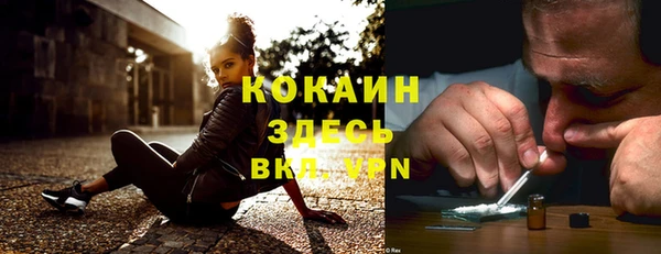 стаф Белокуриха