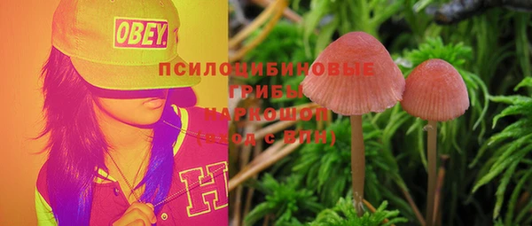 дурь Белоозёрский