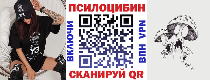 закладка  blacksprut маркетплейс  Псилоцибиновые грибы Psilocybe  Казань 
