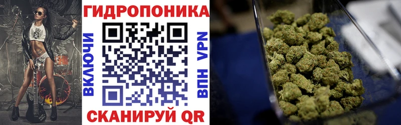 Марихуана план  blacksprut сайт  Казань  где купить наркоту 